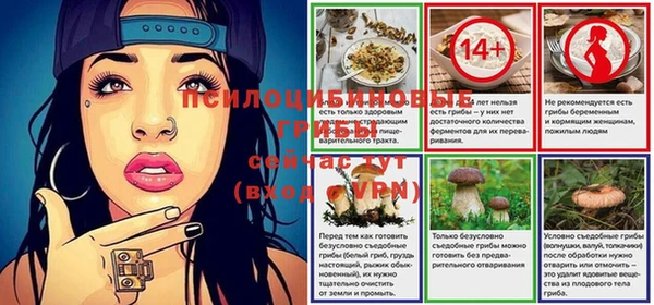 a pvp Осинники