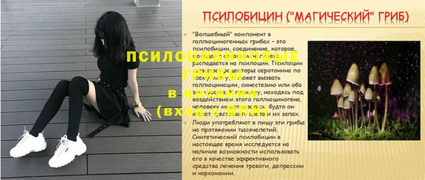 a pvp Осинники